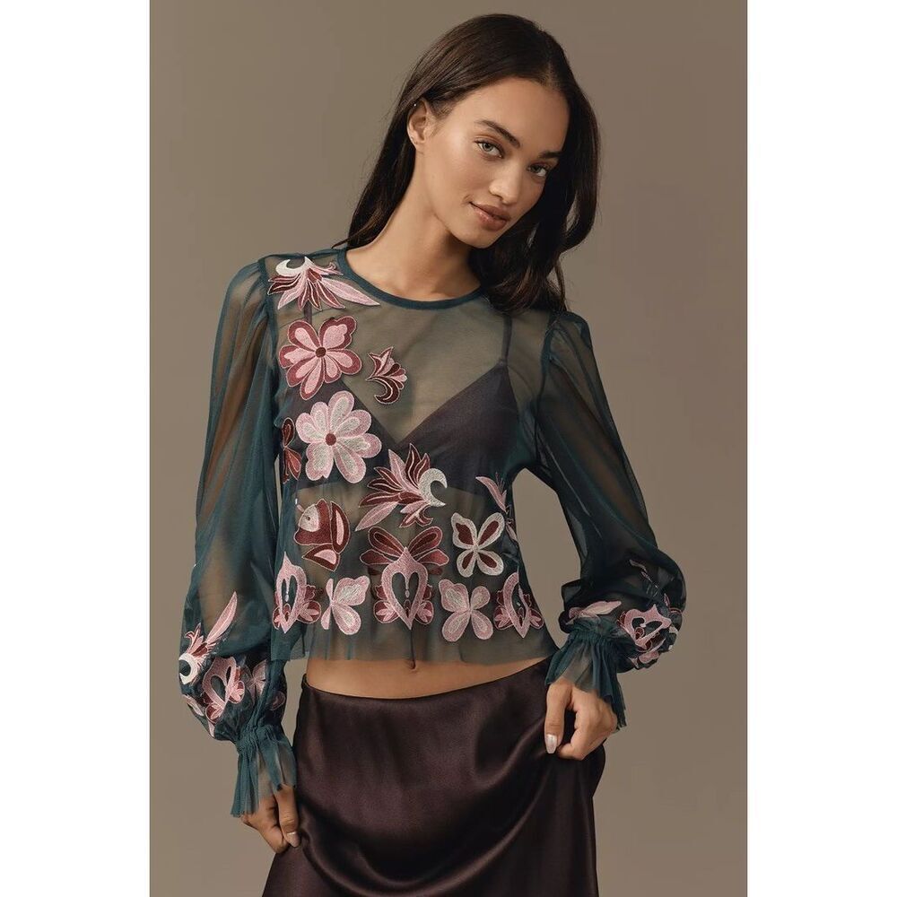 Anthropologie Long-Sleeve Embroidered Mesh Top XSP NEW